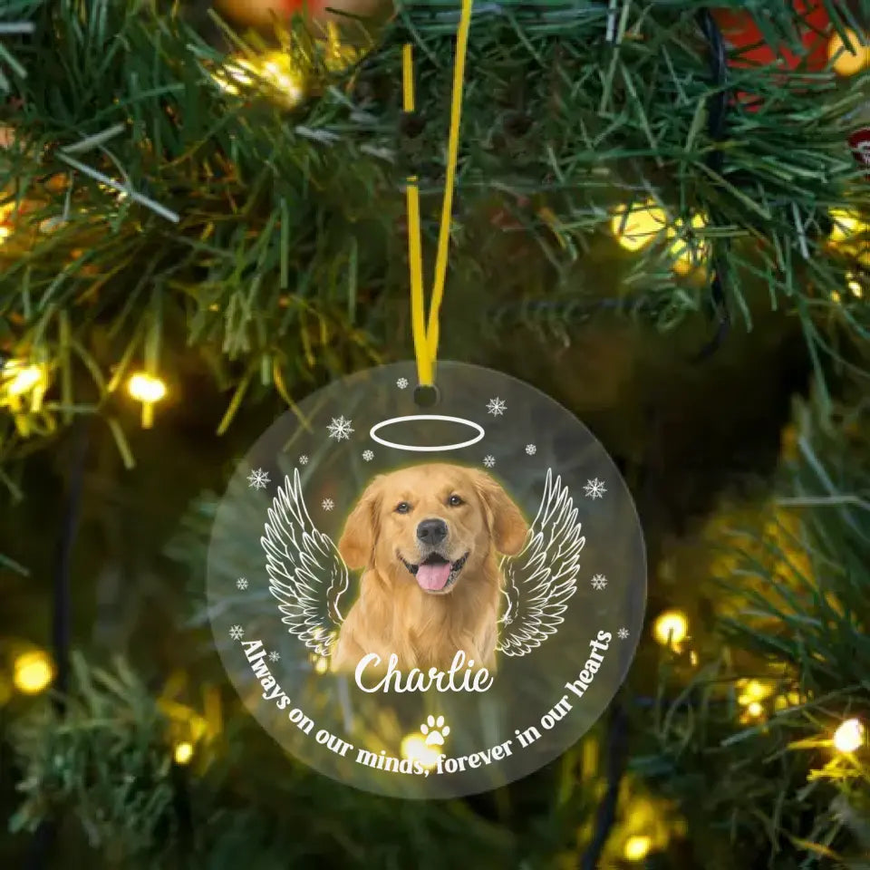 Personalized Memorial Acrylic Ornament Pet Photo Paw Prints In Our Hearts - Gift for Pet Lovers