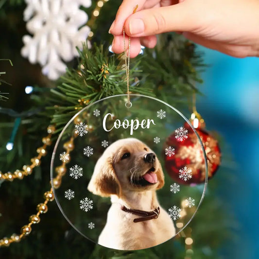 Personalized DogCat Photo Acrylic Ornament - Gift For Pet Lovers Car Ornaments