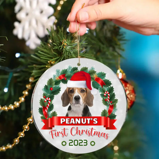 Custom Photo Pawsitively Excited For The First Christmas - Dog & Cat Personalized Custom Ornament