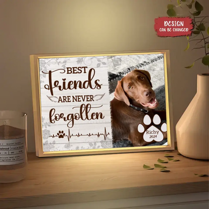 Personalized Custom Picture Frame Light Box - Gift For Dog Lovers Good Friends Are Never Forgotten