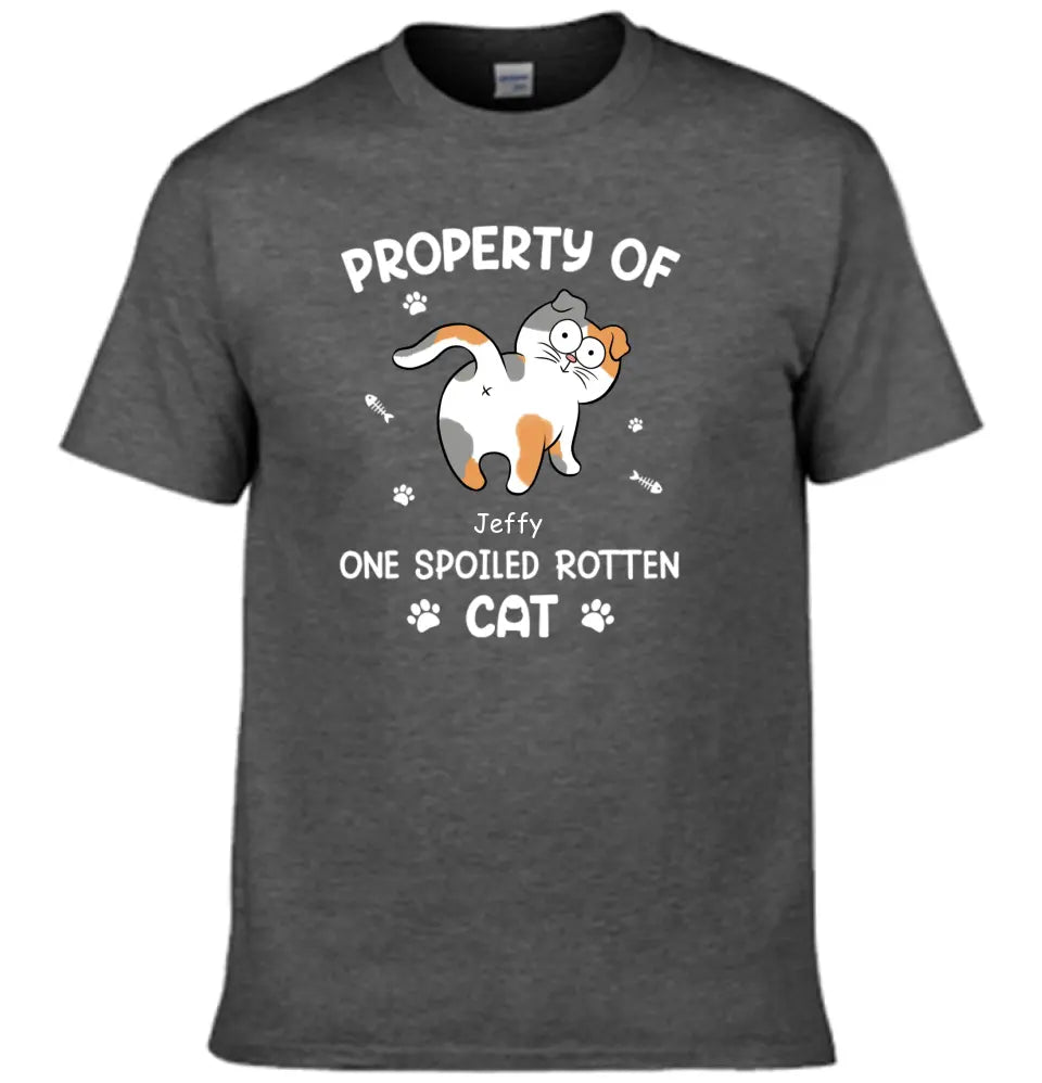 Spoiled Rotten Cats - Cat Personalized Custom T-shirt - Gift For Pet Owners, Pet Lovers